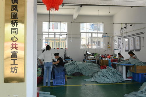 村里建起“沒有圍墻的工廠”——浙江臨?！肮哺还し弧币约夹g服務助力農民家門口就業增收